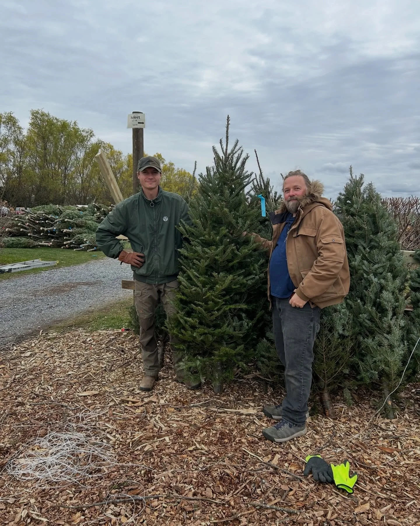 Christmas trees, wreaths, and fresh greens are in full swing at the farm 🎄✨ Stock up this weekend and bring home the start of your holiday magic.