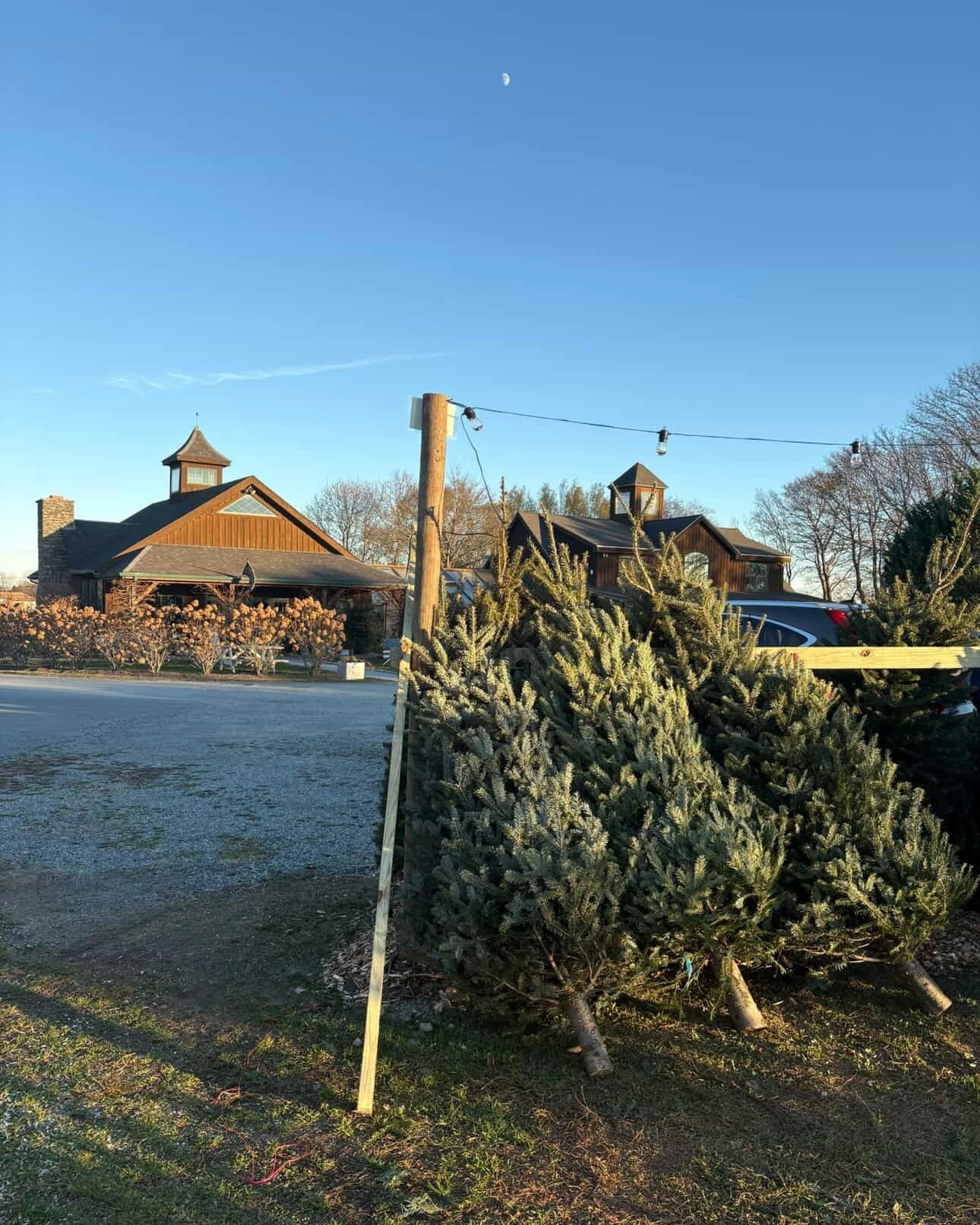 Weekend one of Christmas tree season = success🎄New fireplaces are here, the farm is feeling extra cozy, &amp; we&rsquo;re open daily for tree sales until 5:30 PM. Come make the most of the holidays with us!❤️