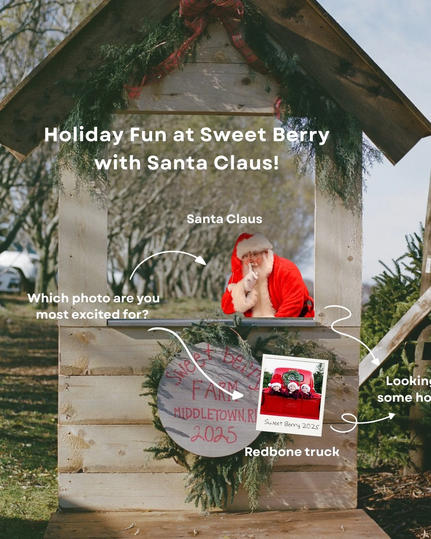 Holiday fun awaits at Sweet Berry Farm this Saturday! ✨ Join us 10 AM - 1 PM for a visit with Santa Claus, festive treats &amp; holiday live music &mdash; there's a little something for everyone to enjoy!🎄

To help spread extra holiday cheer, please