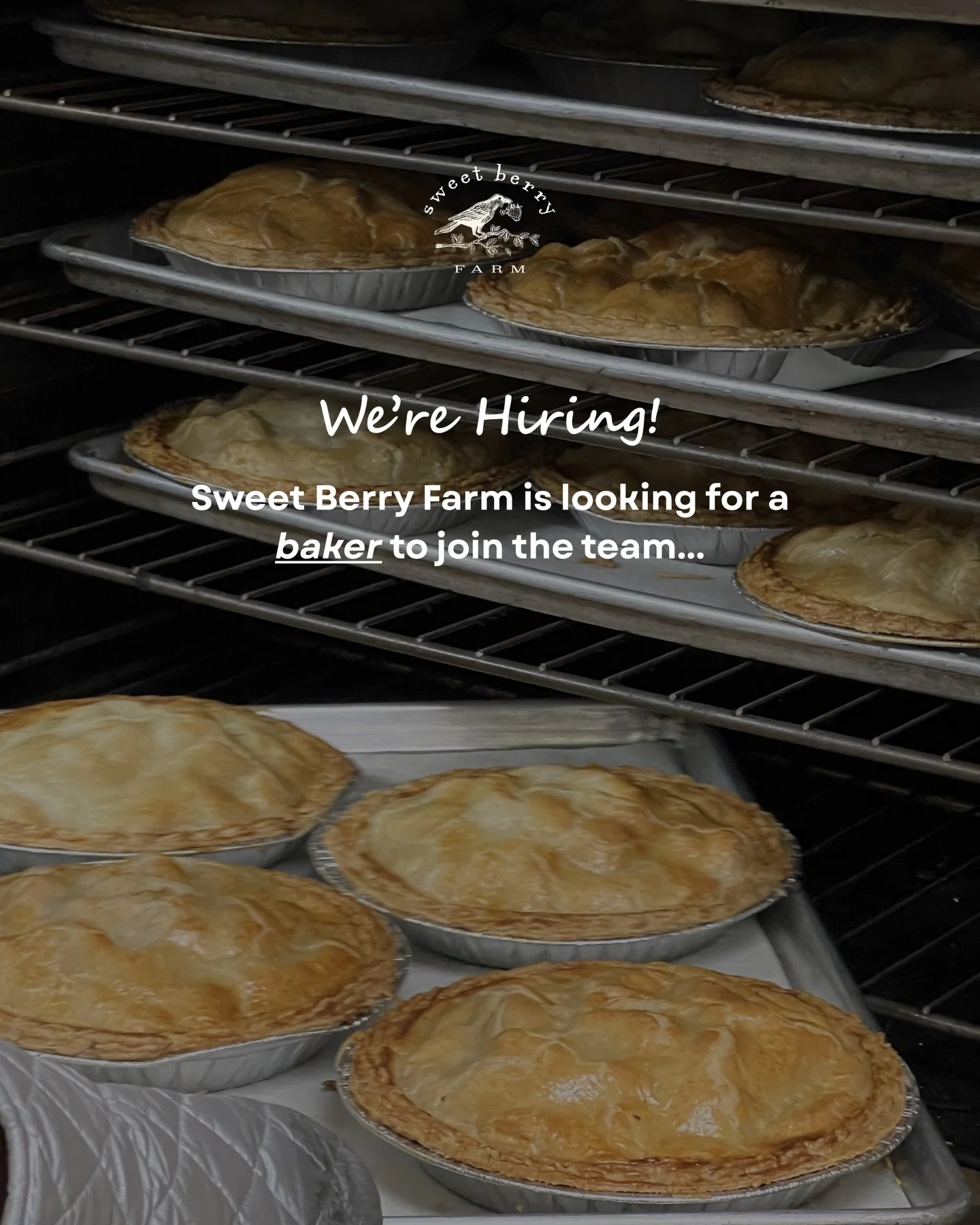 We&rsquo;re looking for a baker to join the team 🥐 For all inquiries,  please send an email to pkittredge@sweetberryri.com | See you back here May 8th!