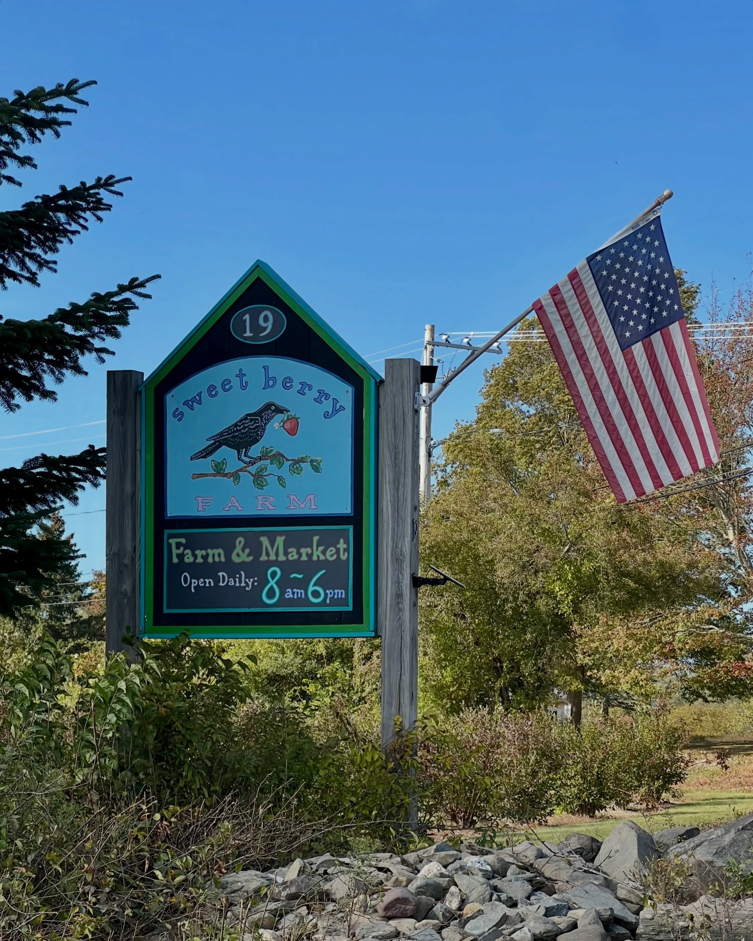 Today, we pause to remember and honor all those who have served and sacrificed for our country 🇺🇸

From all of us at Sweet Berry Farm, thank you to the brave men and women whose service we will never forget. Wishing everyone a meaningful Memorial D