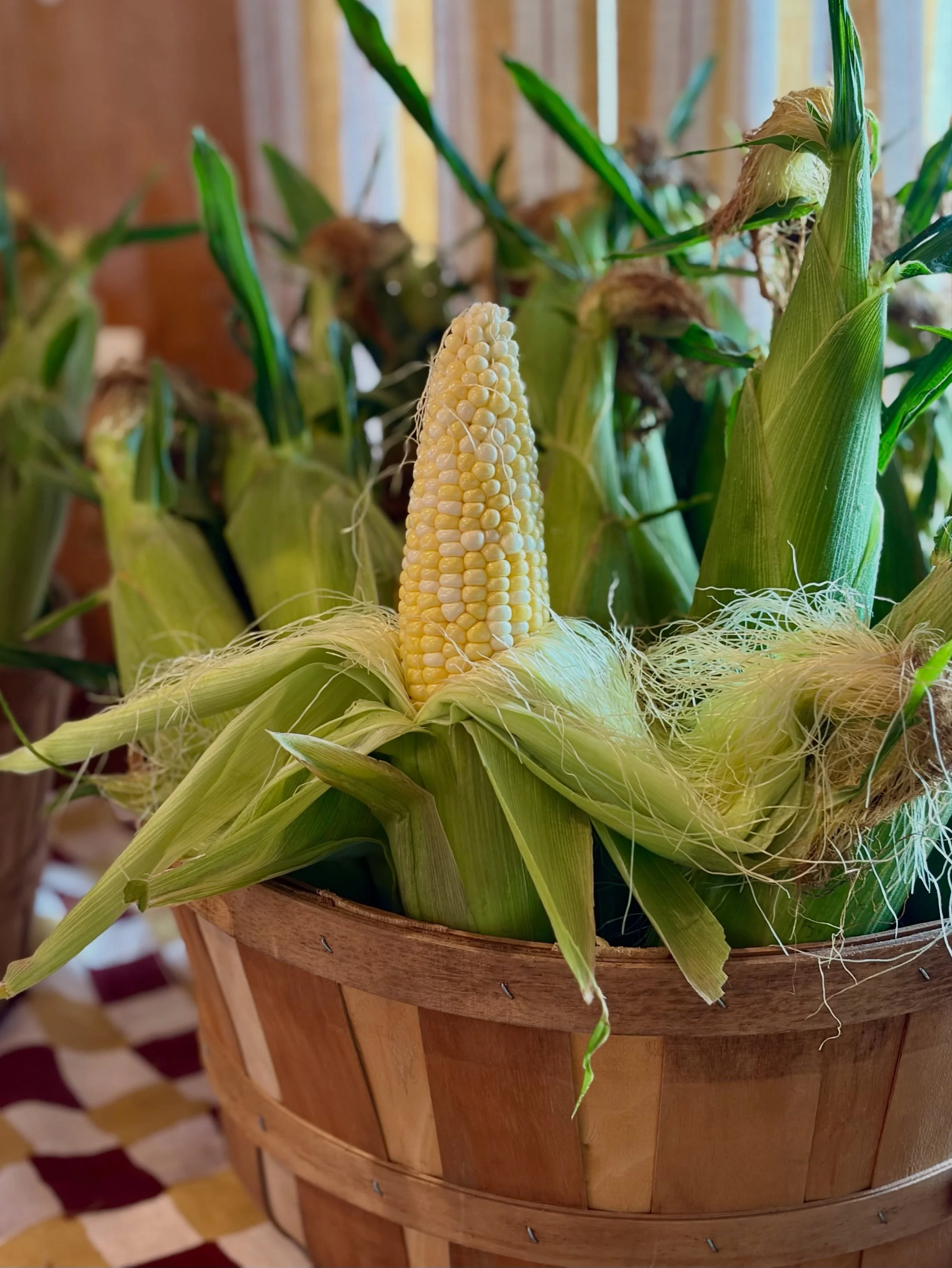 From the market to the table 🌽 Our General Manager, Meg, picked up a few of her favorite ingredients &amp; turned them into an easy summer dinner. 

Featuring sweet corn from Georgia, fresh asparagus from Massachusetts, quality meats from @domssausa