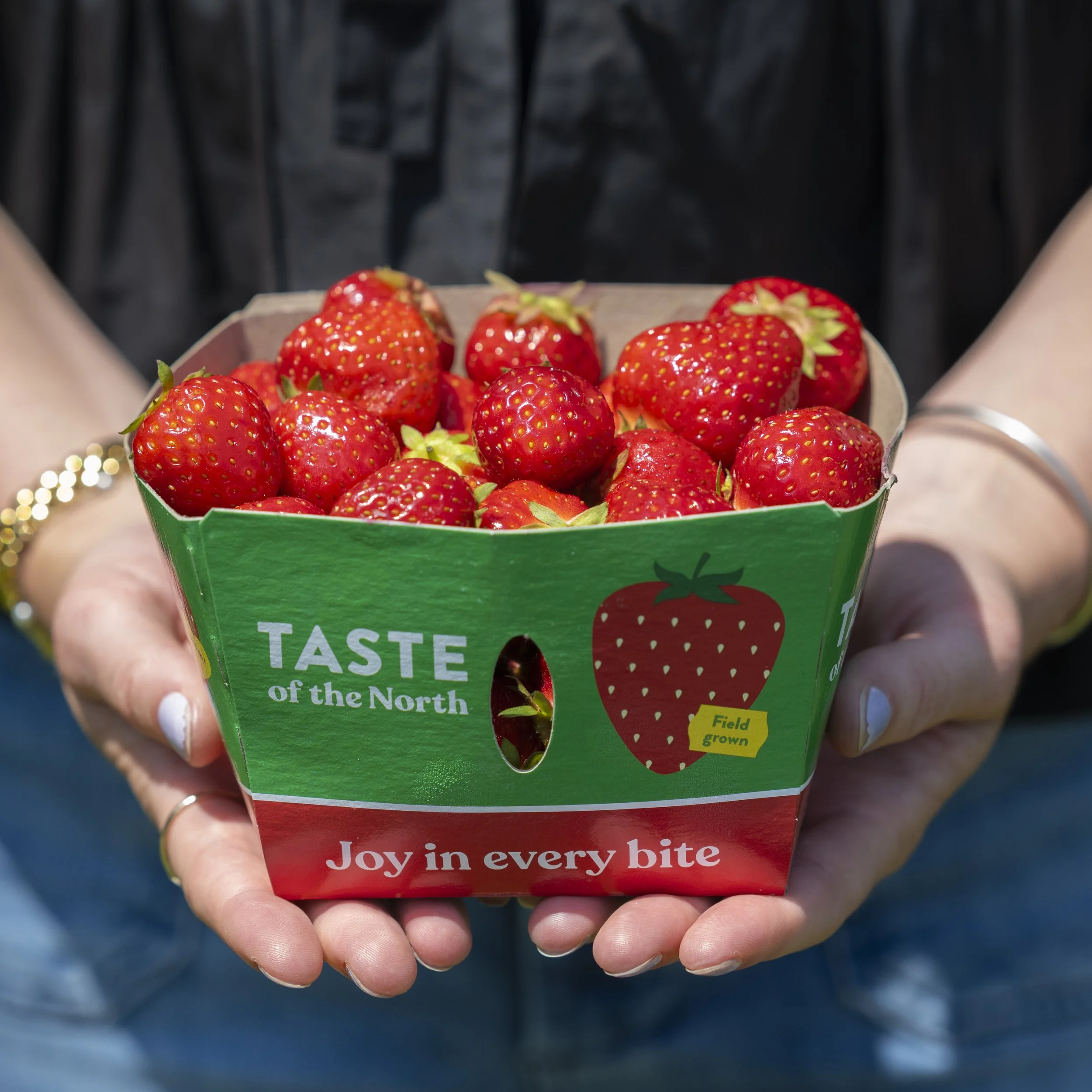 SweetBerryFarm_DOWDLE__DSC_9615.jpg