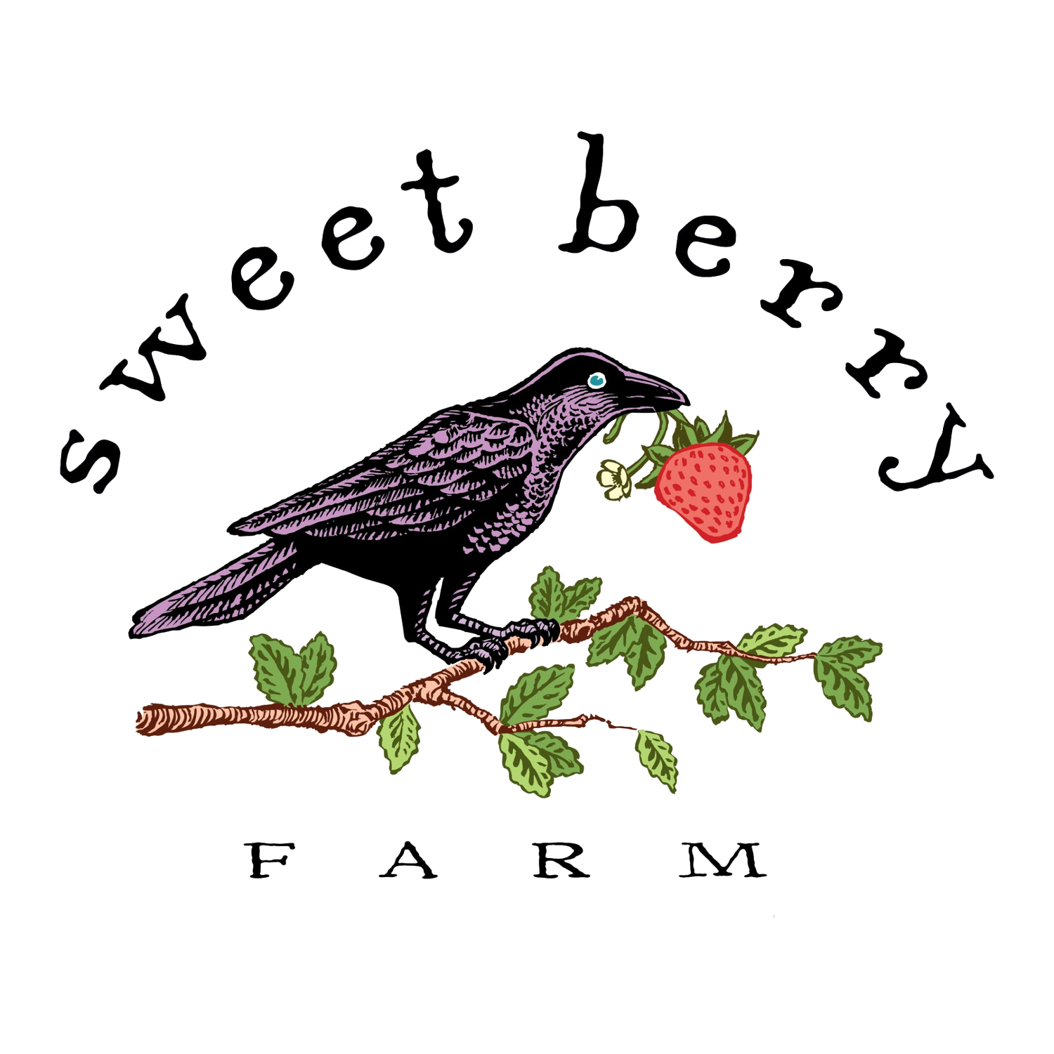 Sweet Berry Farm