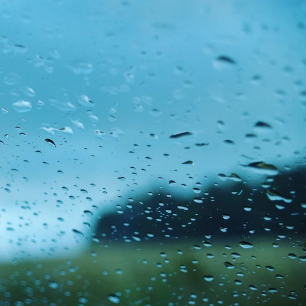 Life in the In-Between