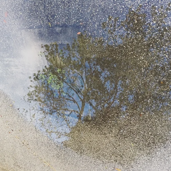 Storms: The Quiet Before