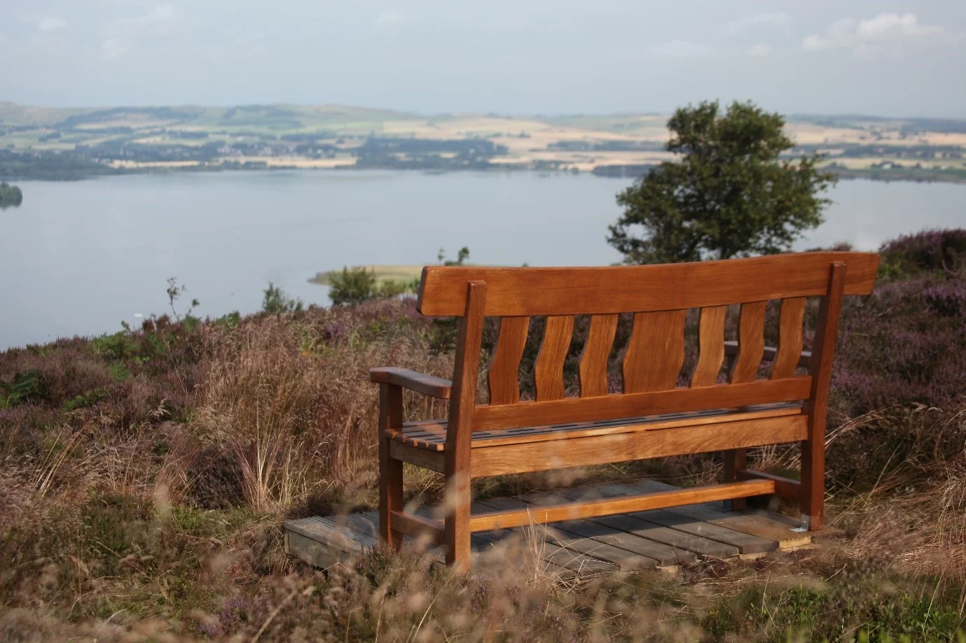 Bench Dedicated to Adam