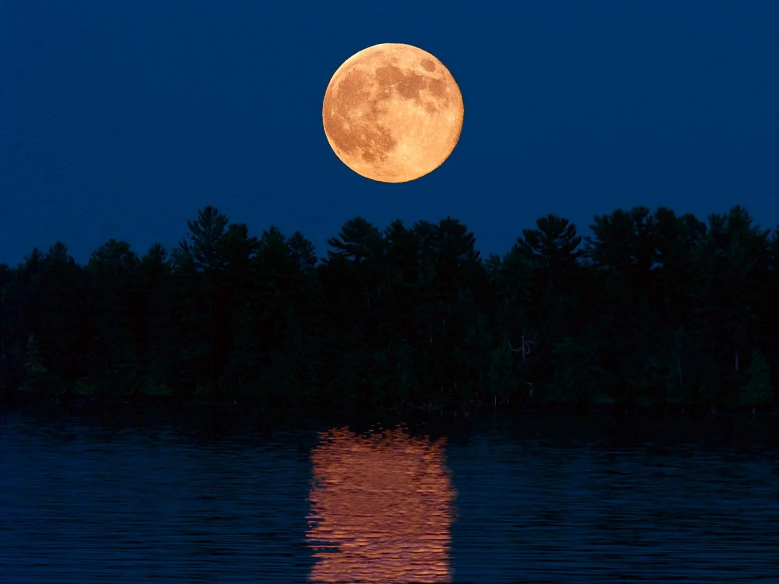 Beaver Moon Set to Shine Brightly in November Sky this Weekend 
