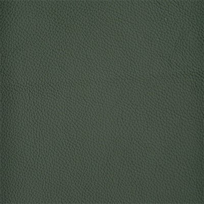 Forest Green Leather  