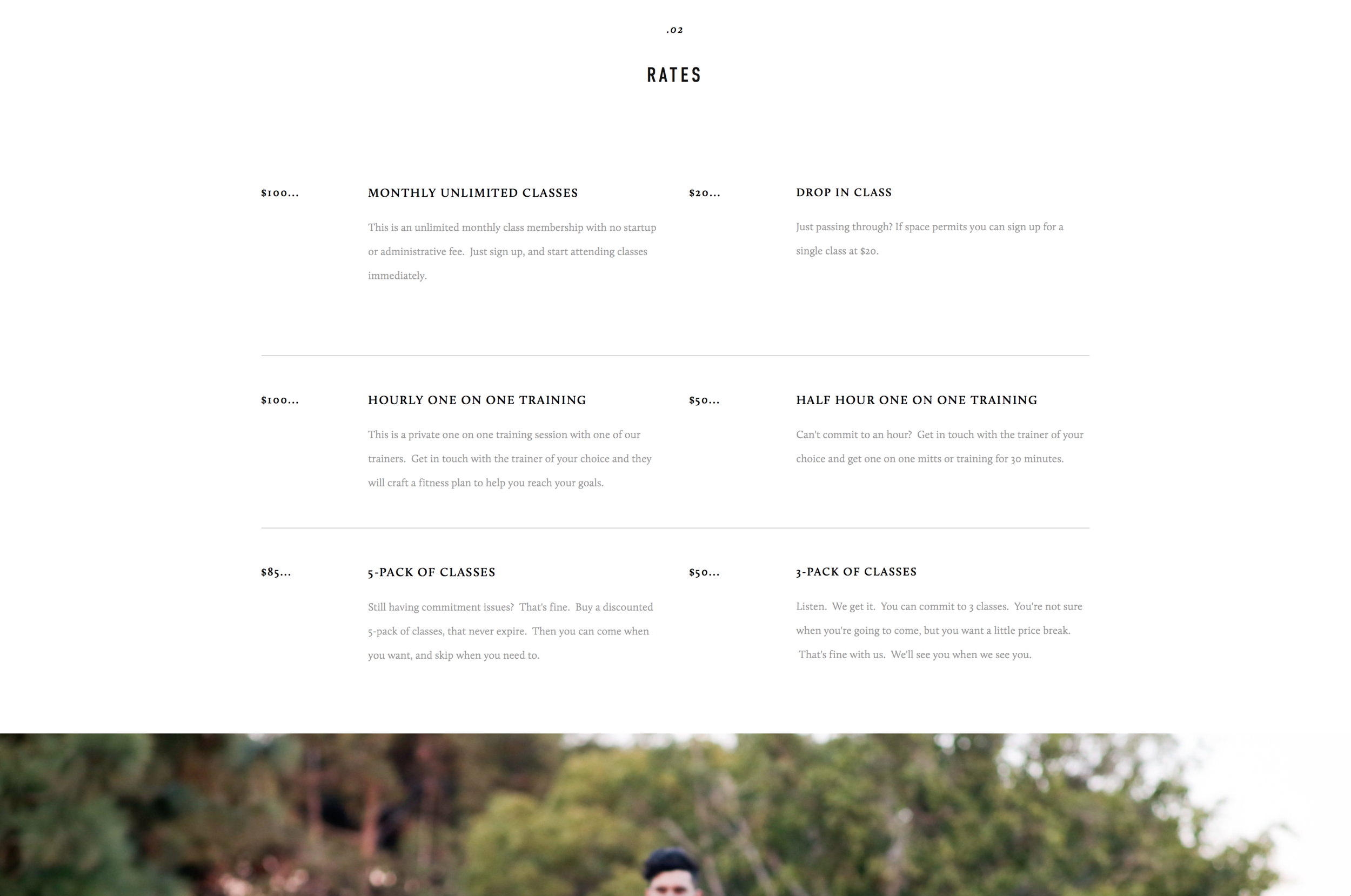 Website Design