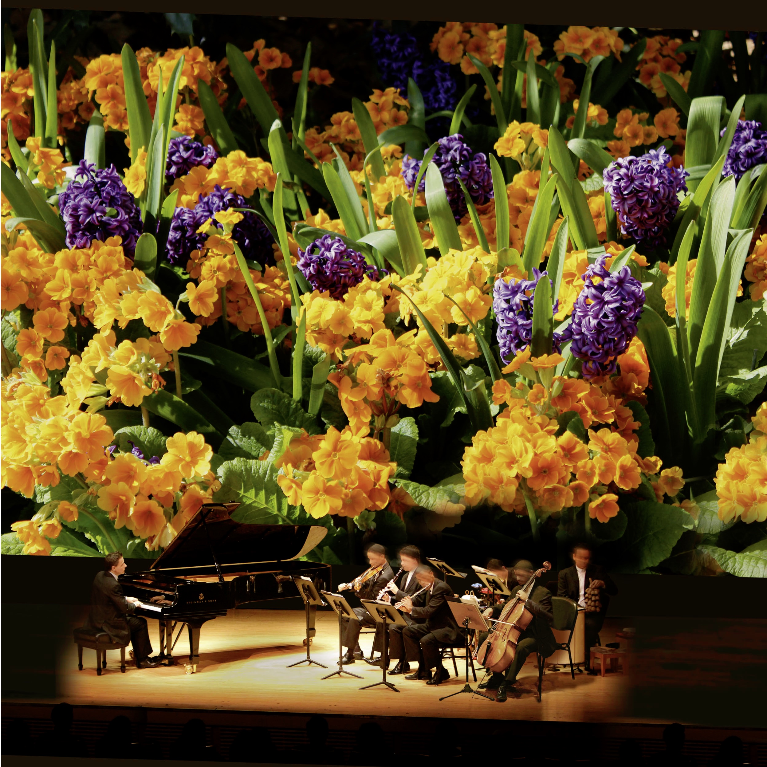 On tour with Camerata Brasil