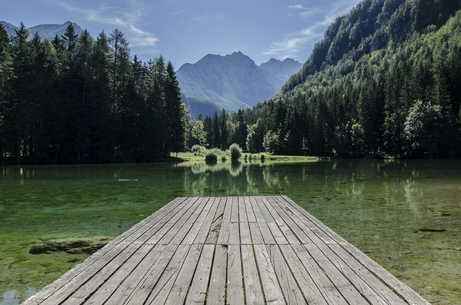 pexels-photo-31370.png