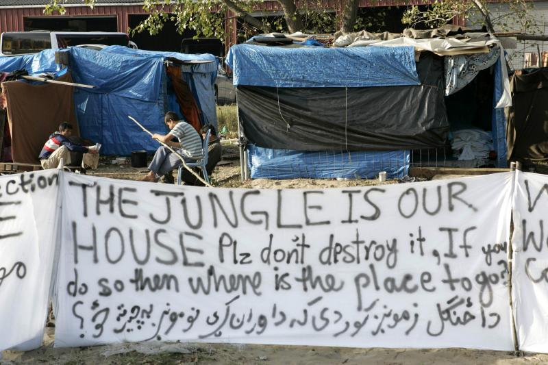 The-jungle-is-our-house.jpg