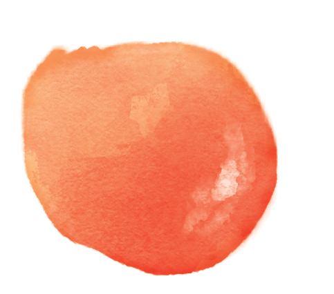 persimmon color study .png