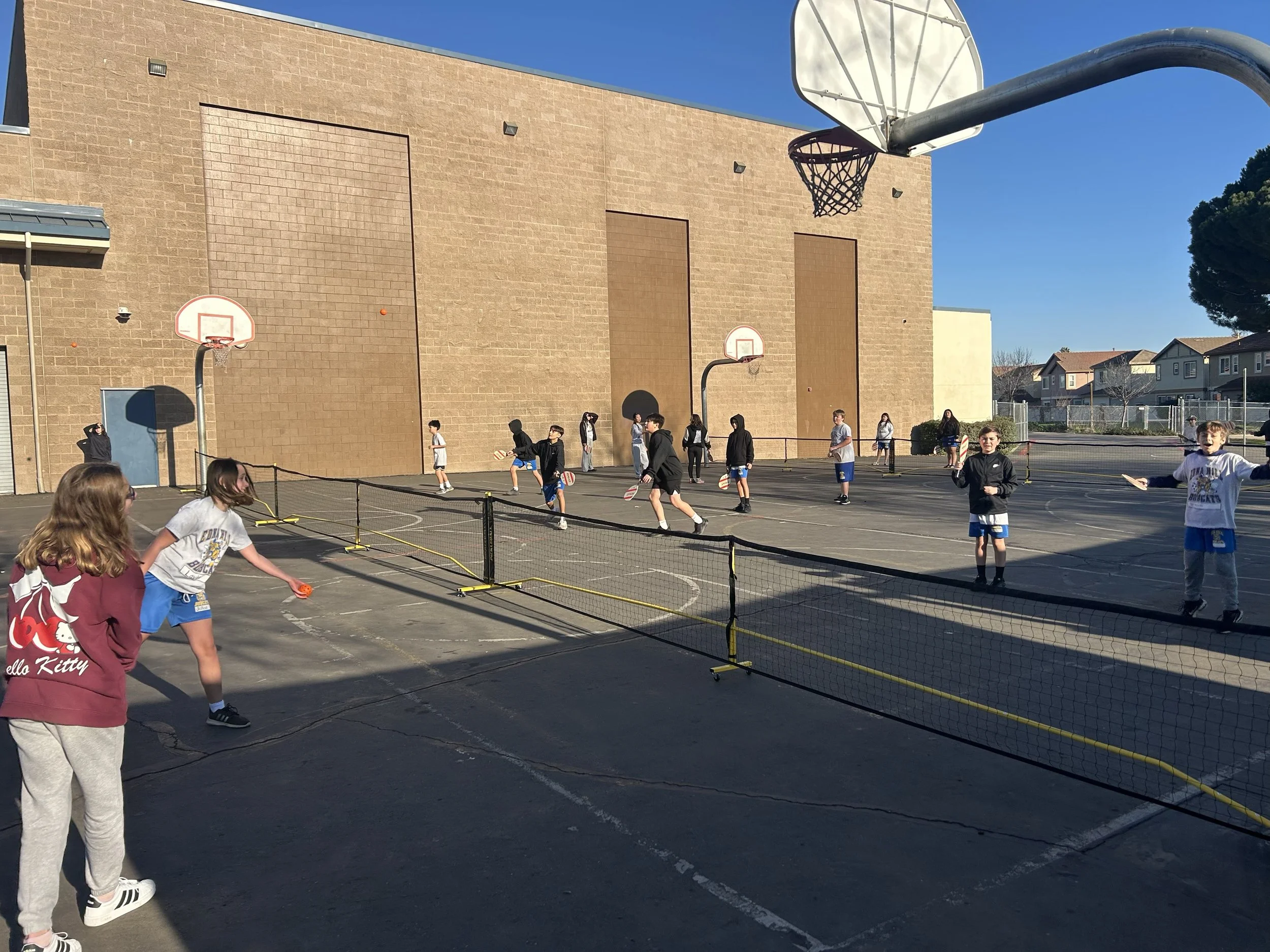 Pickle Ball.jpg