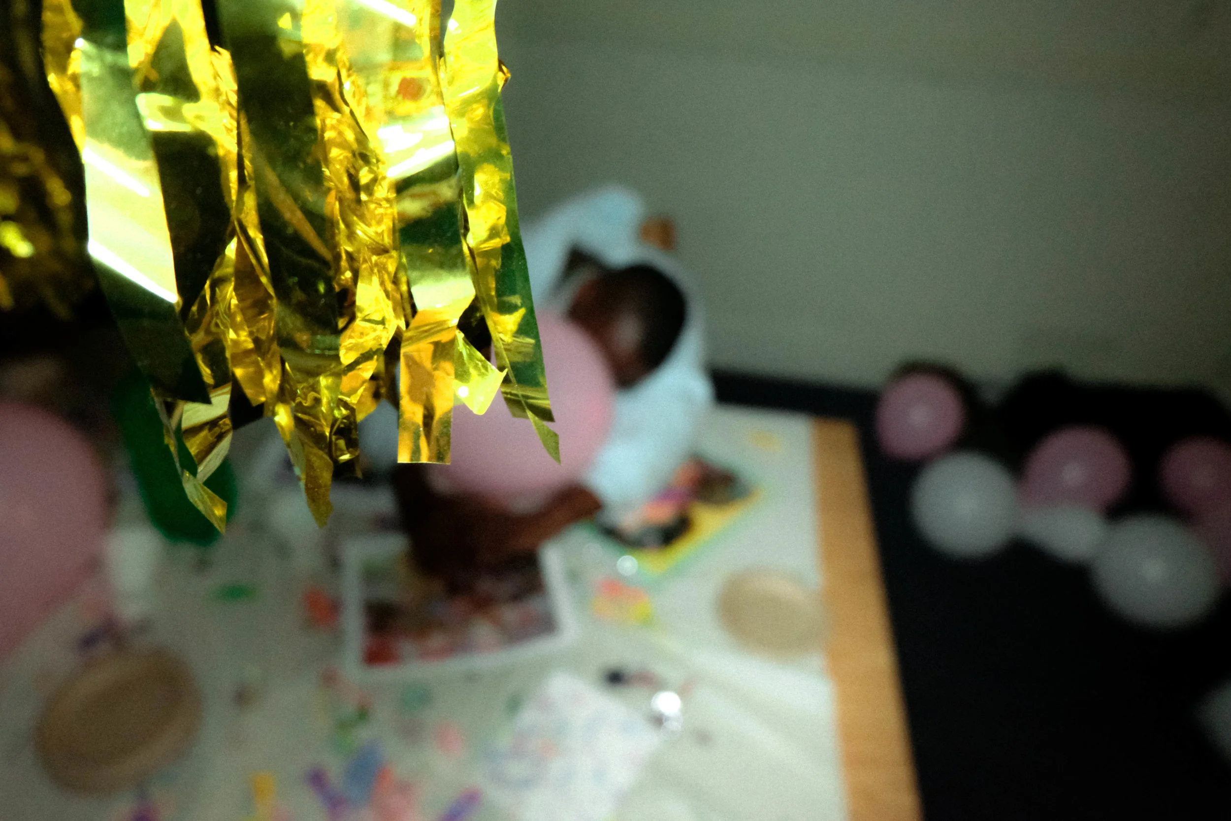 Copy of DSCF2264-2.jpg