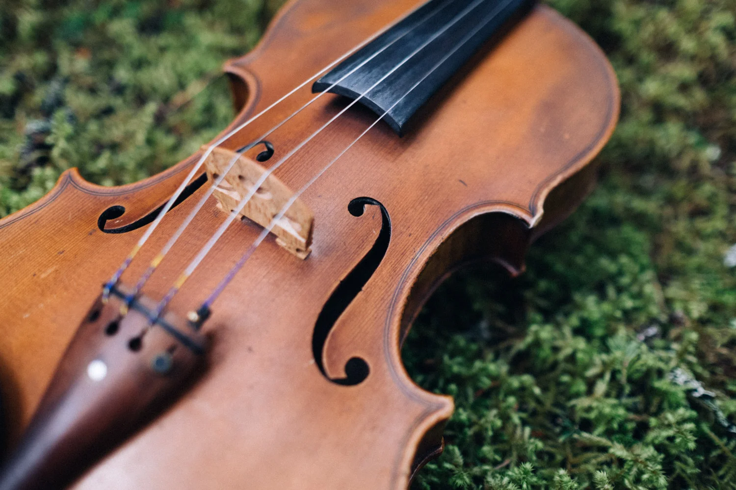 doug_violin5.jpg