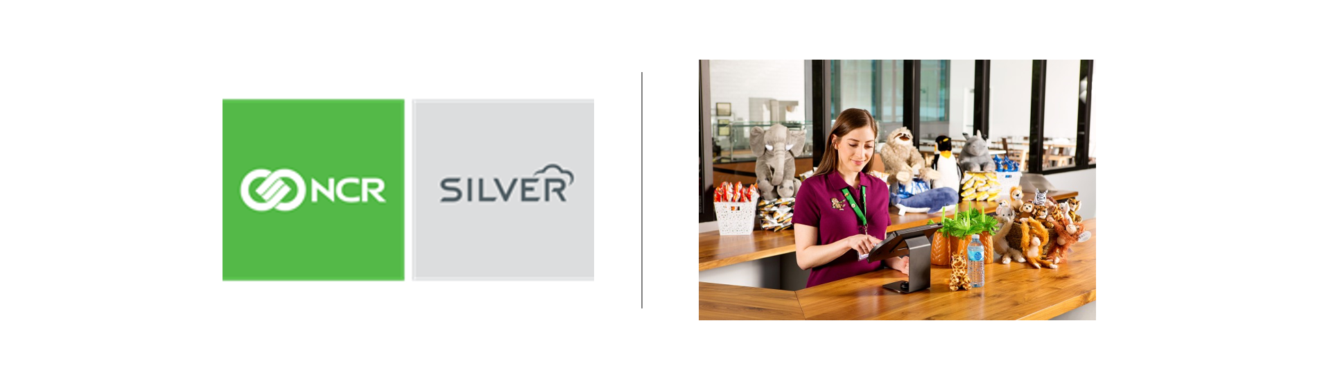Ncr Silver Software | Knowledge: Downloading the Silver Server Software ...