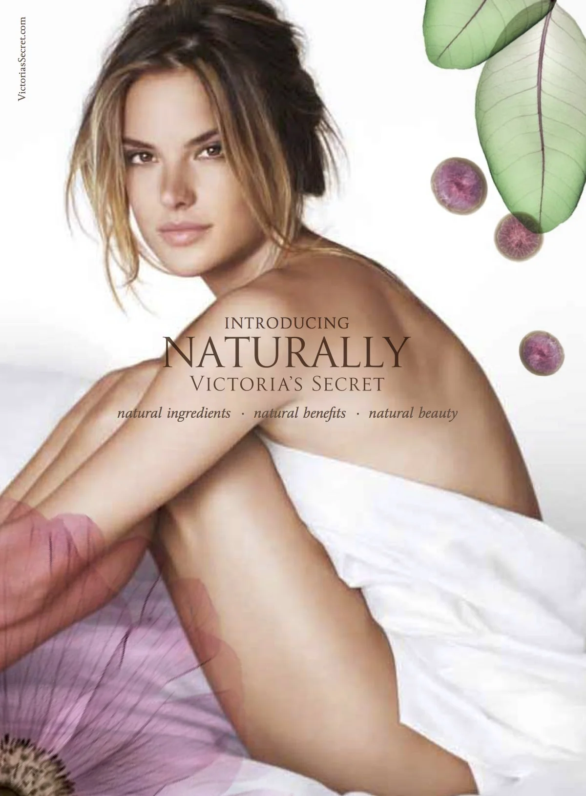 VSS-5145-ROB Page.jpg