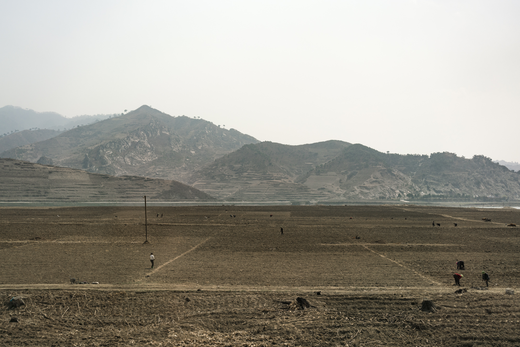 Crops are harvested in the North Hwanghae Province. Natural disasters and poor farming practices led to North Korea’s worst yield in more than a decade. In recent years, North Korea has been fighting severe droughts which decimated its production o