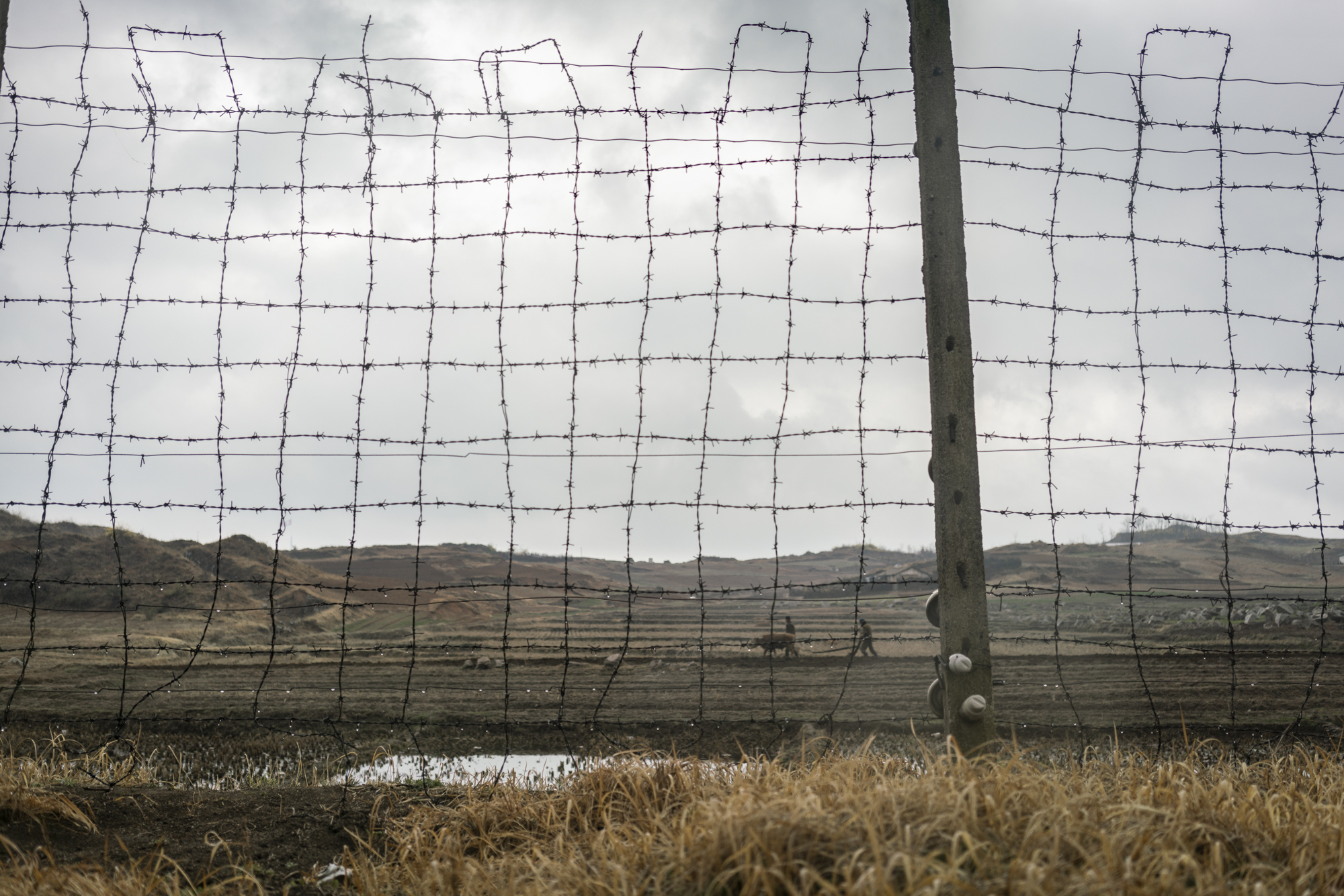 Behind the barbed wire, farmers work the land in Kijŏng-dong, also known in North Korea as “Peace Village”, one of the only two villages permitted to remain in the four-kilometre-wide DMZ laid out under the 1953 armistice ending the Korean War.   Ac