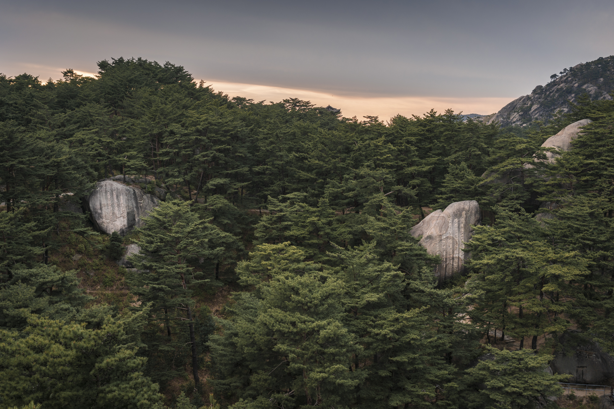  Inscriptions on the large granite rocks between red Korean pine trees in Mt. Kumgang Biosphere Reserve UNESCO site.  The reserve is located in the South-East of North Korea. 