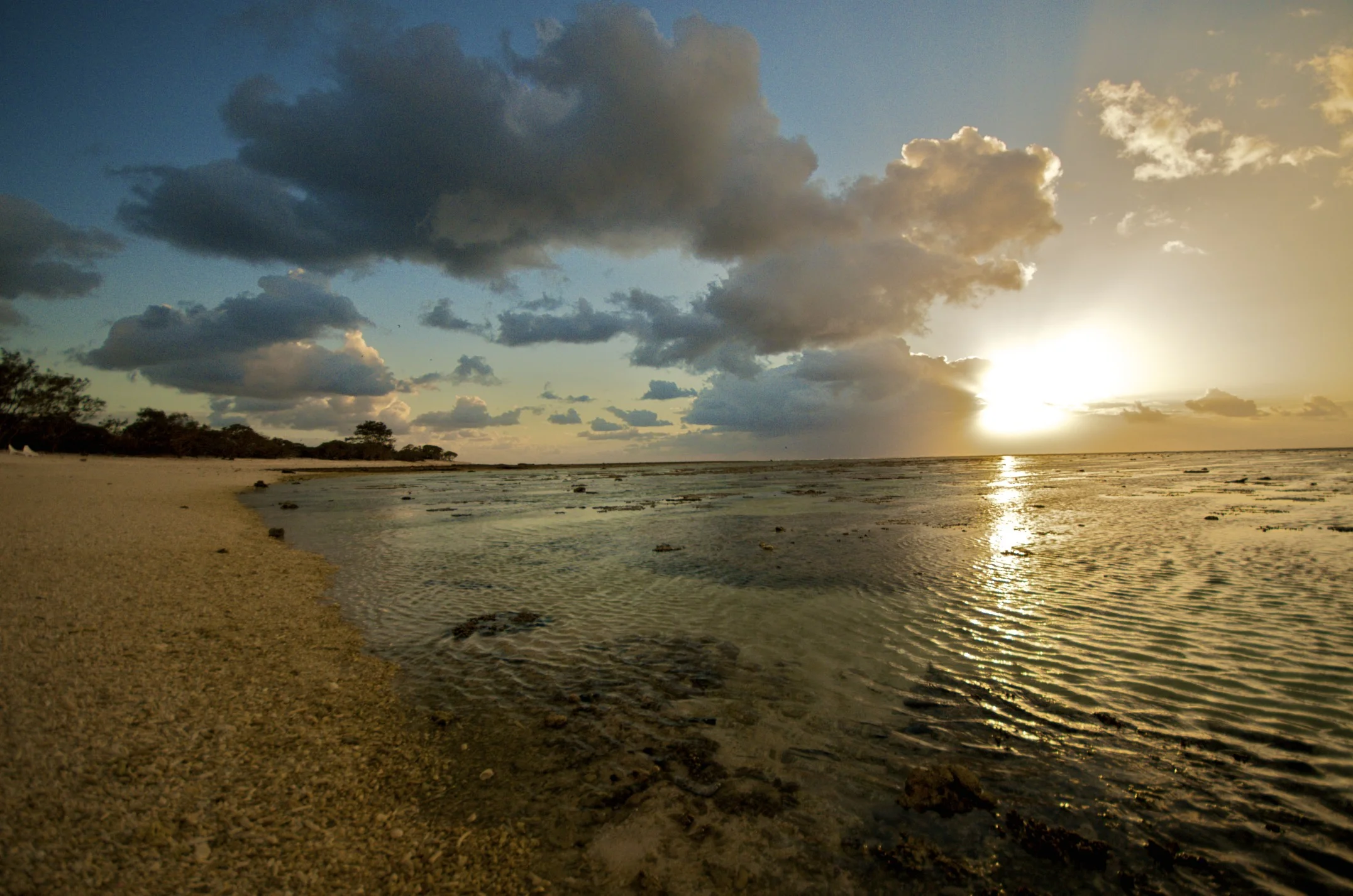 DSC_5729.jpg