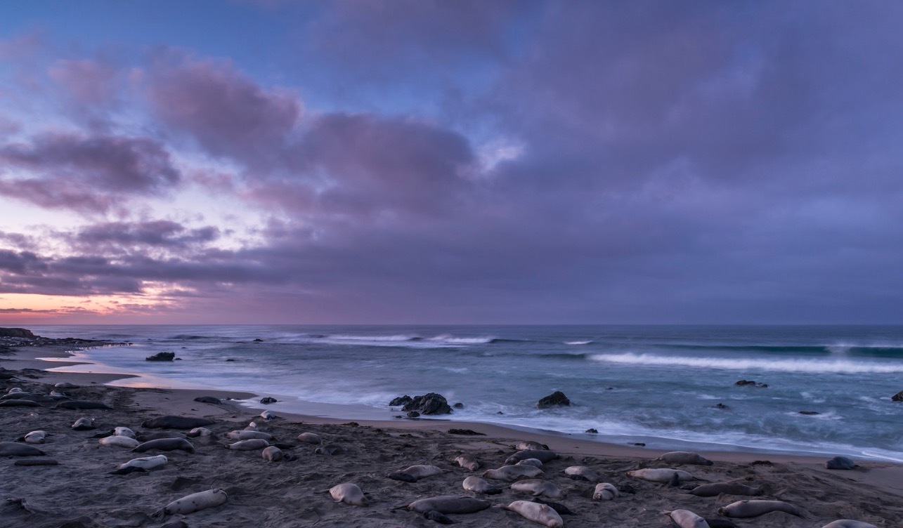 Screen Shot 2016-05-18 at 10.06.58 PM.JPG