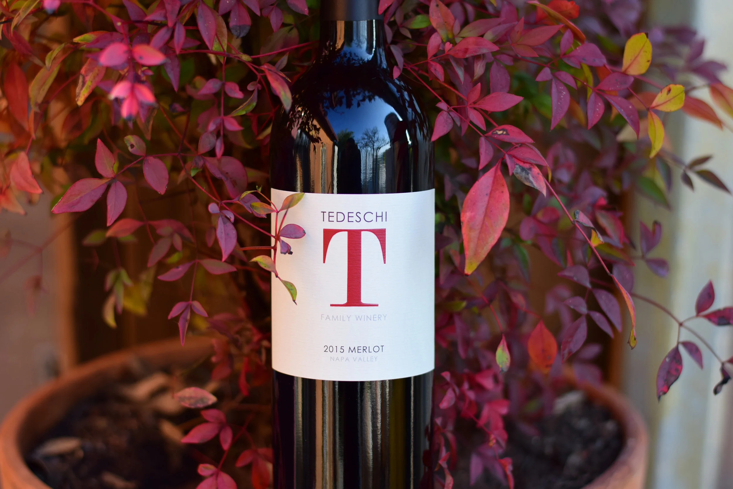 tedeschi merlot