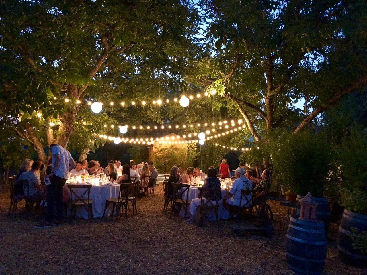 Winemaker Dinner: A Magical Evening in Our Vineyard