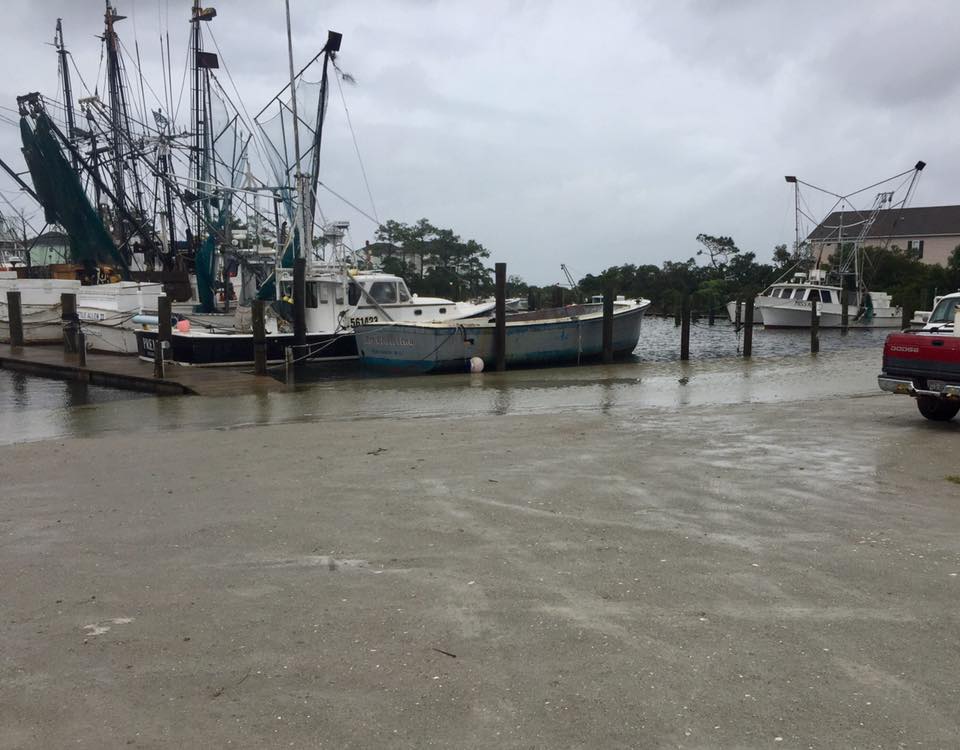 Harkers Island Harbor ~ Dean Johnson