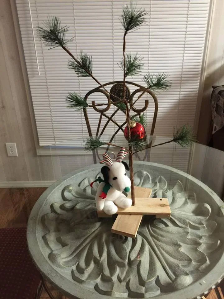 Christmas tree after dog tore up the real tree...