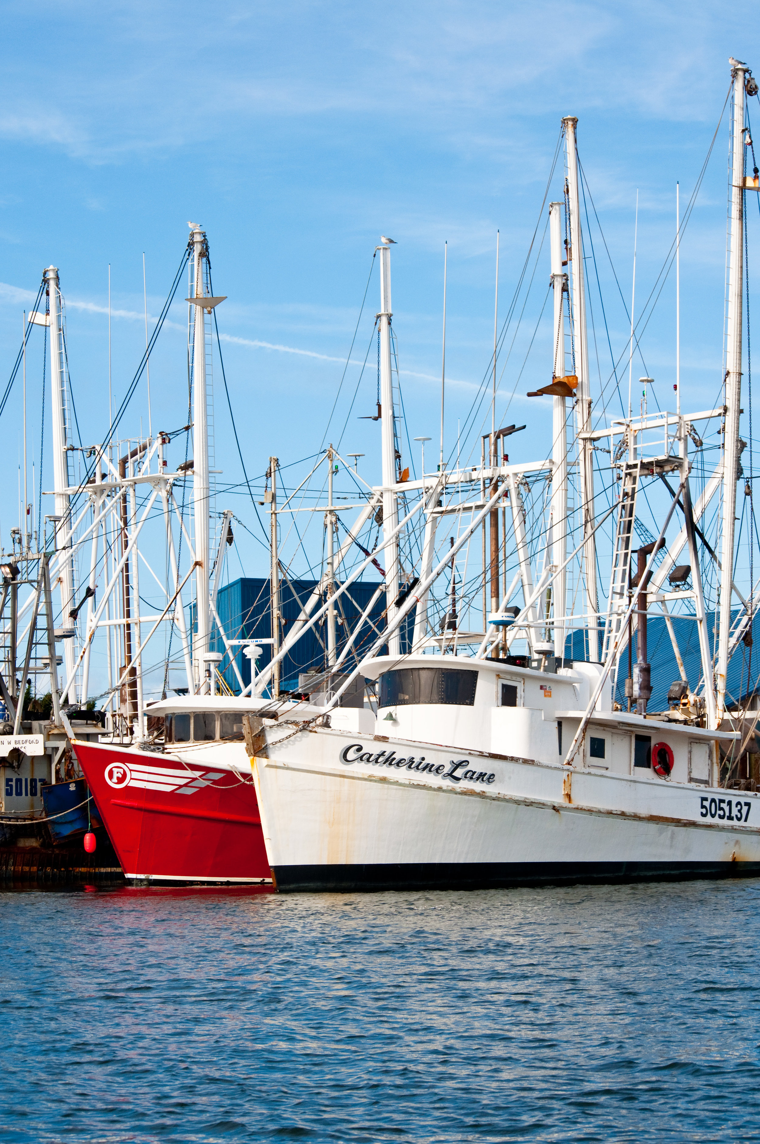 M/V Catherine Lane