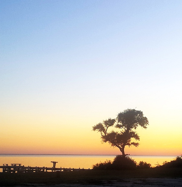 Pier Sunset