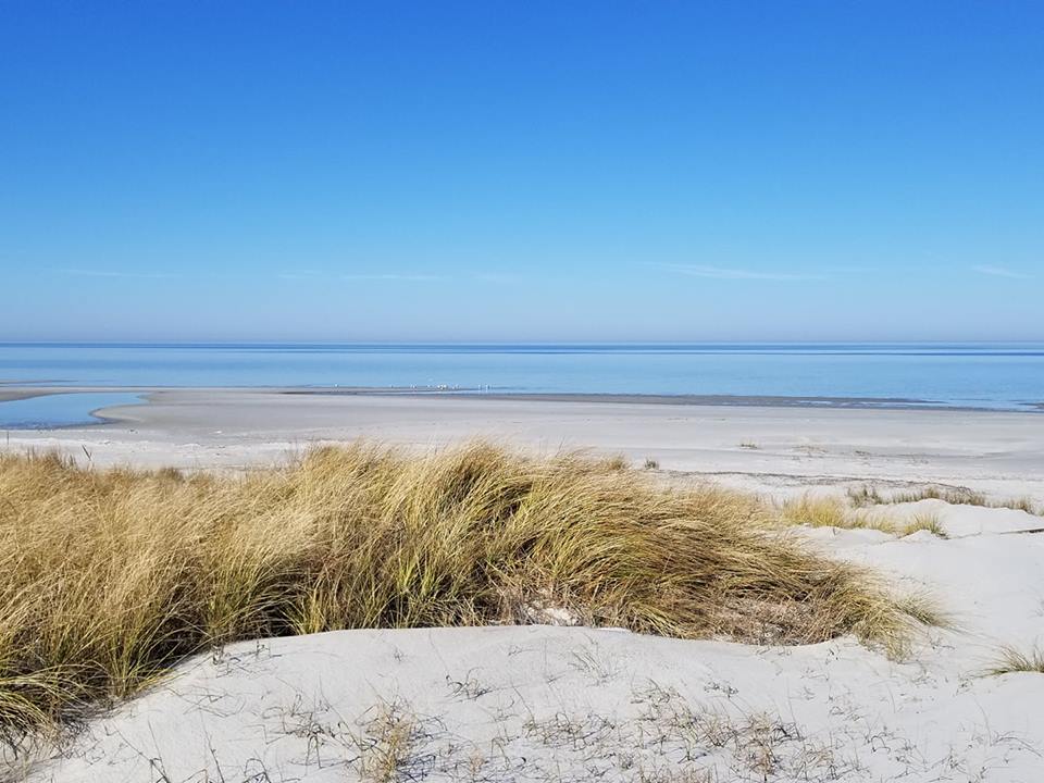 Cedar Island