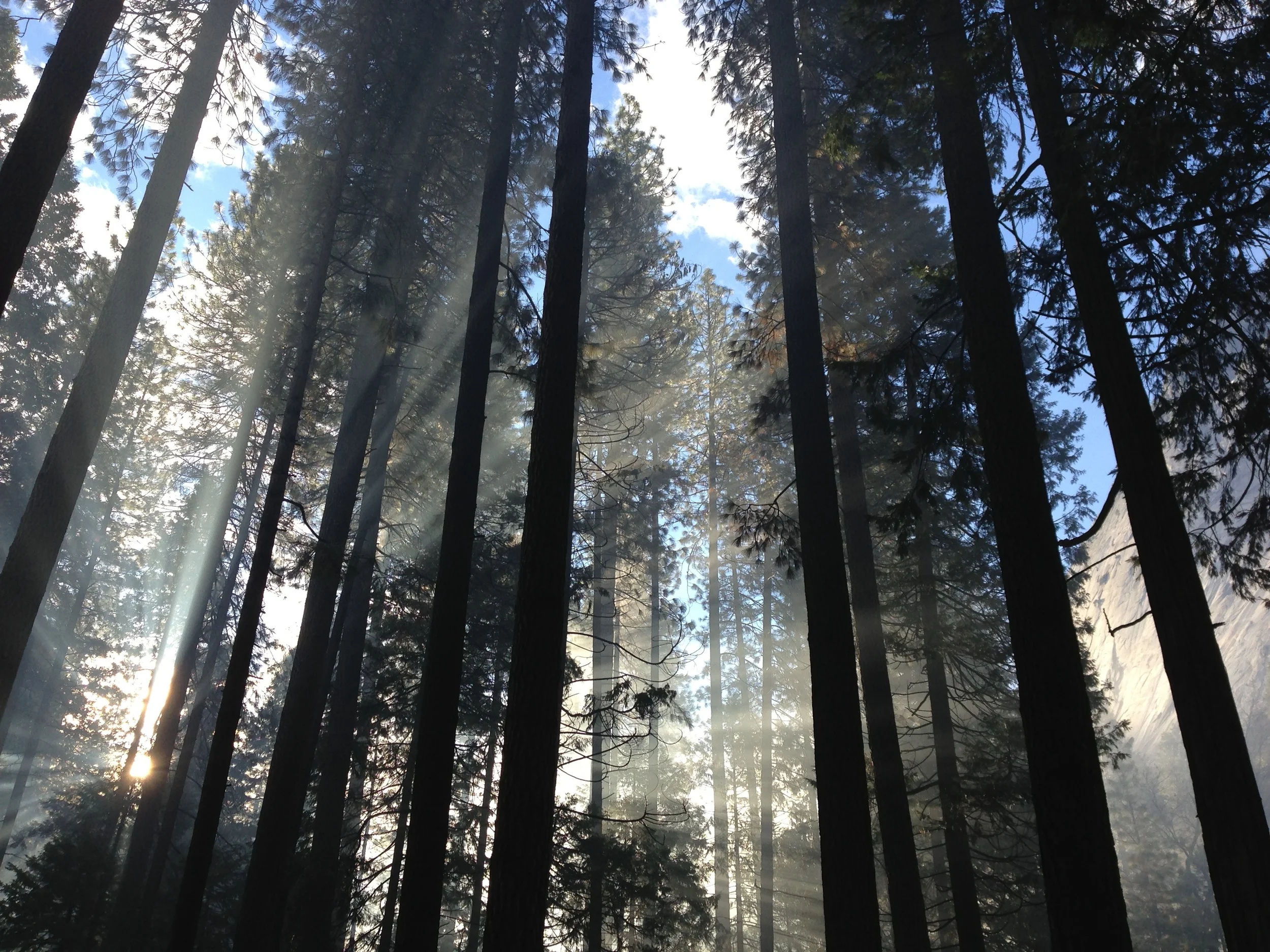 photo-1436407886995-41f8f5ee43ad.jpeg