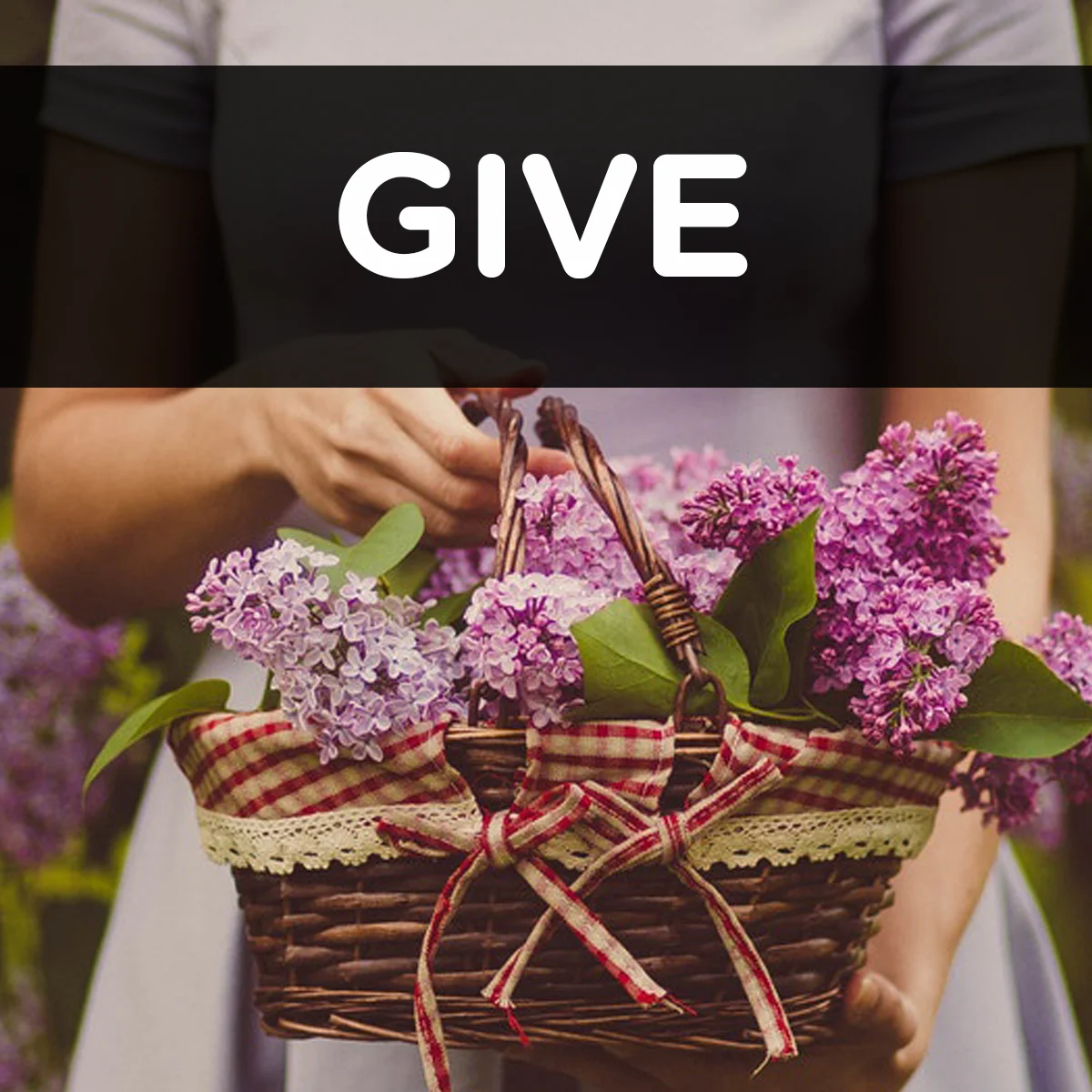 GIVE.jpg