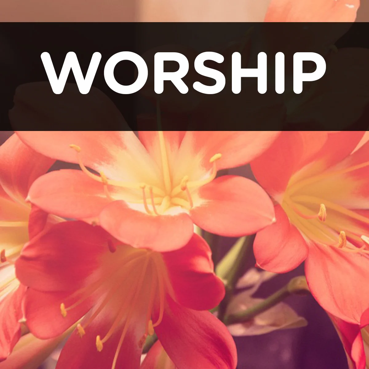 WORSHIP.jpg