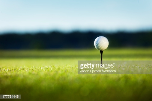 Photo by Jacob Sjoman Svensson/Folio Images / Getty Images