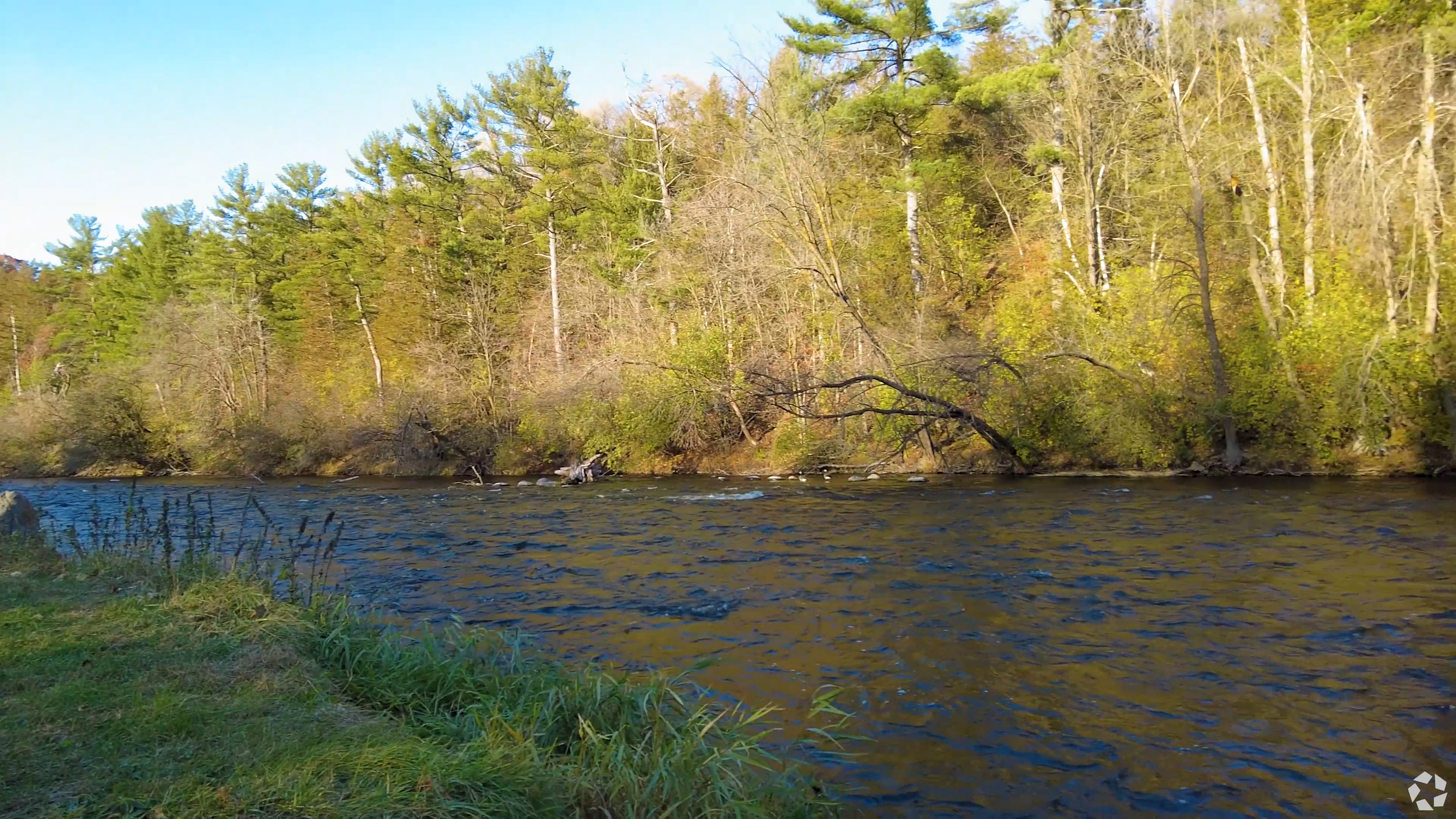 videoframe_18936 river.png