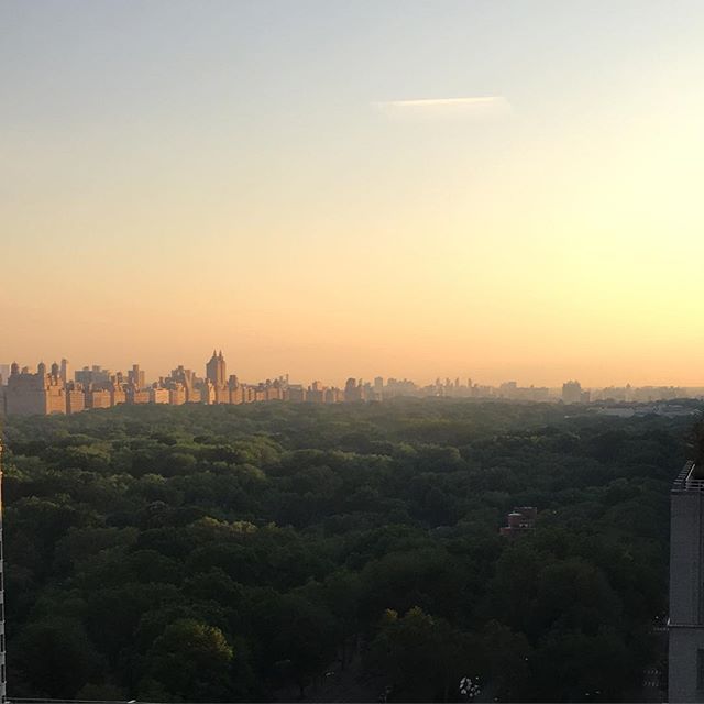 "CENTRAL PARK MORNING"
Enjoy the day ! #mindfulliving #mindfulness #takeabreak #lmnopphilosophy #meditate #nycparks #natureinthecity #aware #openeyeliving #centralpark #trees #welovetreessomuch