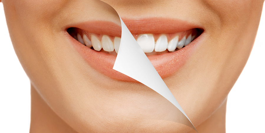 Fotolia_81614465_Subscription_Monthly_M.jpg