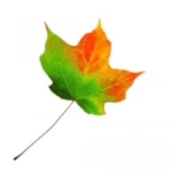 leaf-changing-color.jpg