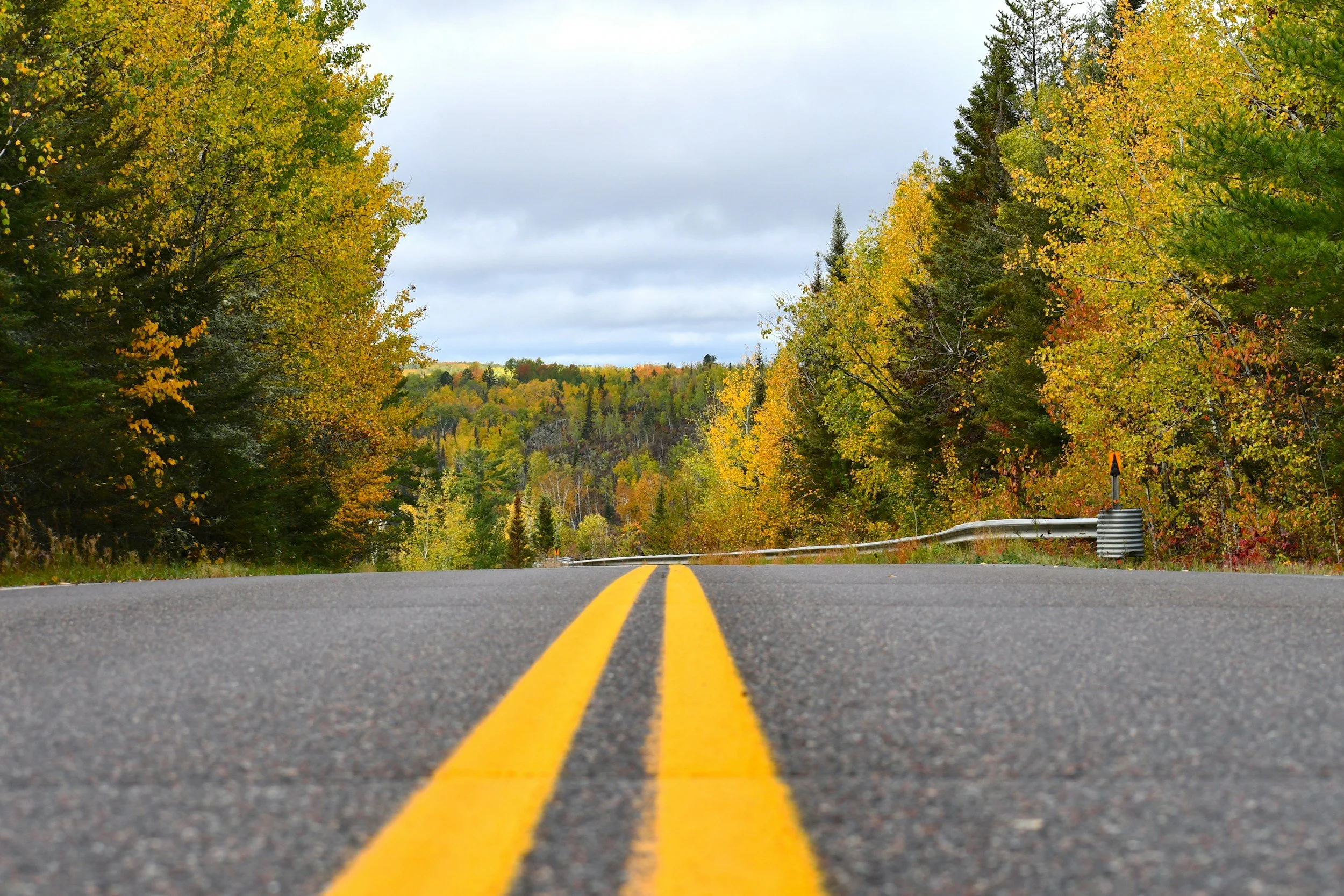 a two-lane road with double yellow centerlines running low and straight into a forest turning autumn colors (gold, green, a little red), overcast sky, guardrail visible where the road bends out of frame