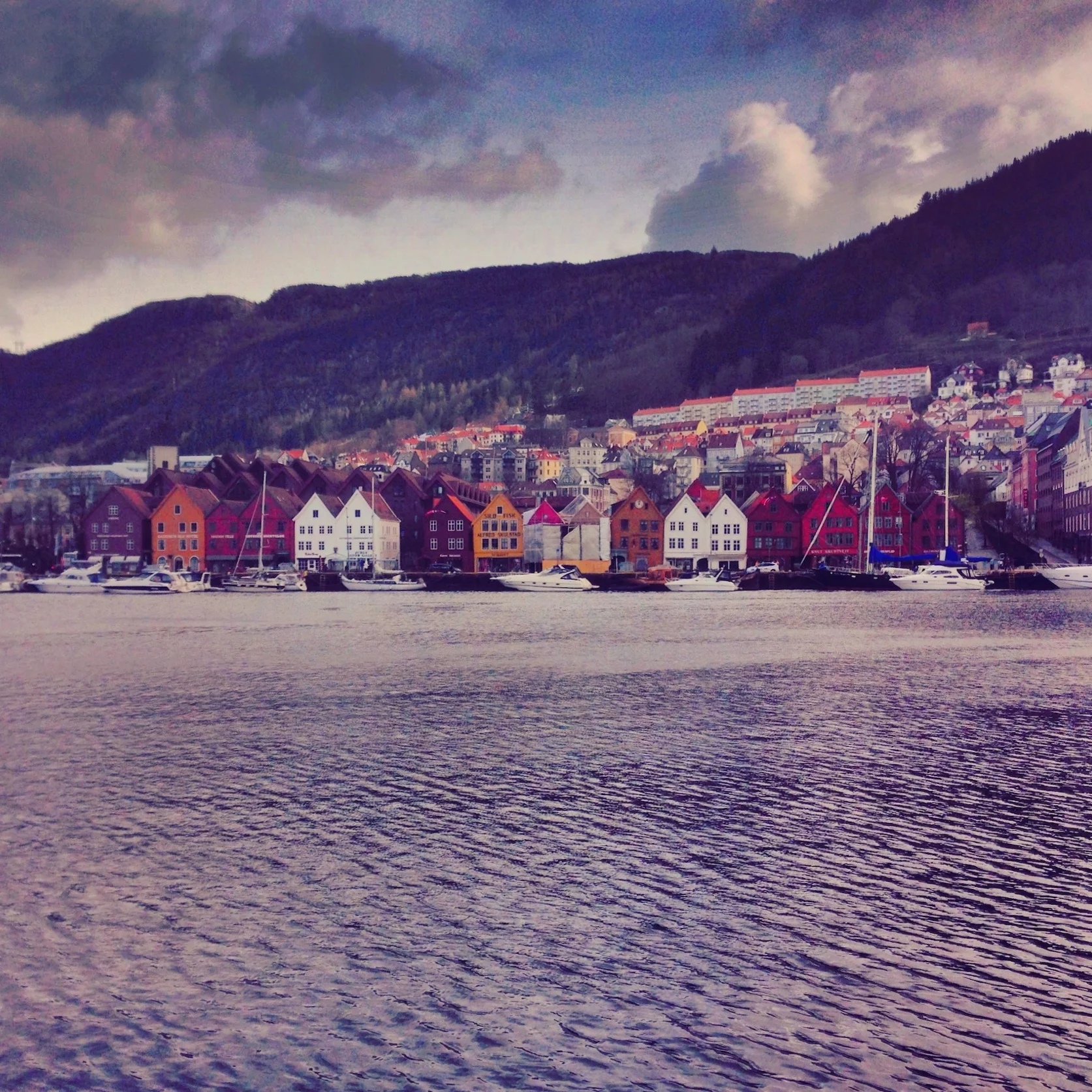 bergen.jpg
