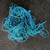twitter_0017_blue rope.jpg