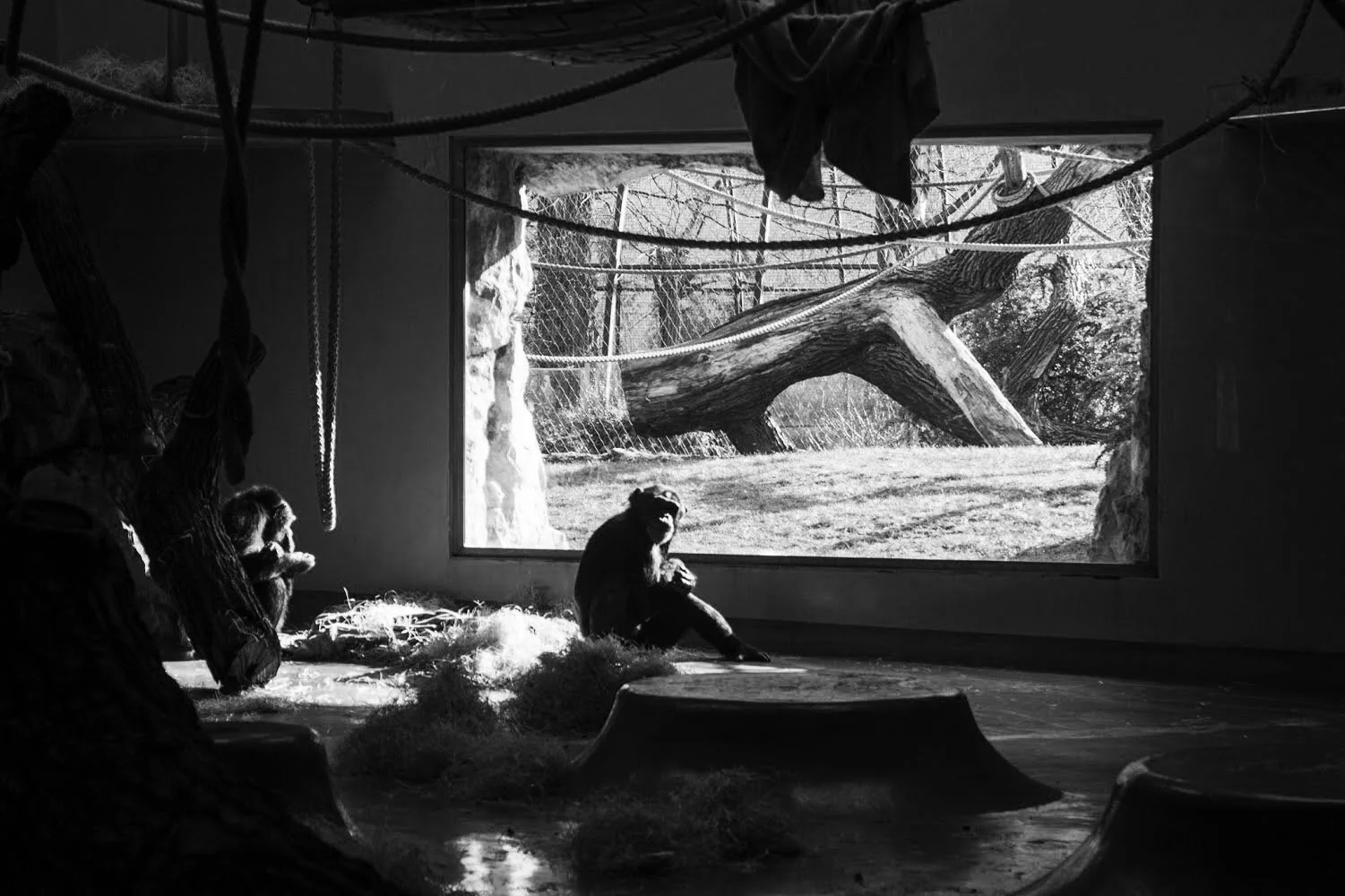 paper thin walls, (2015) video, 20.00 min