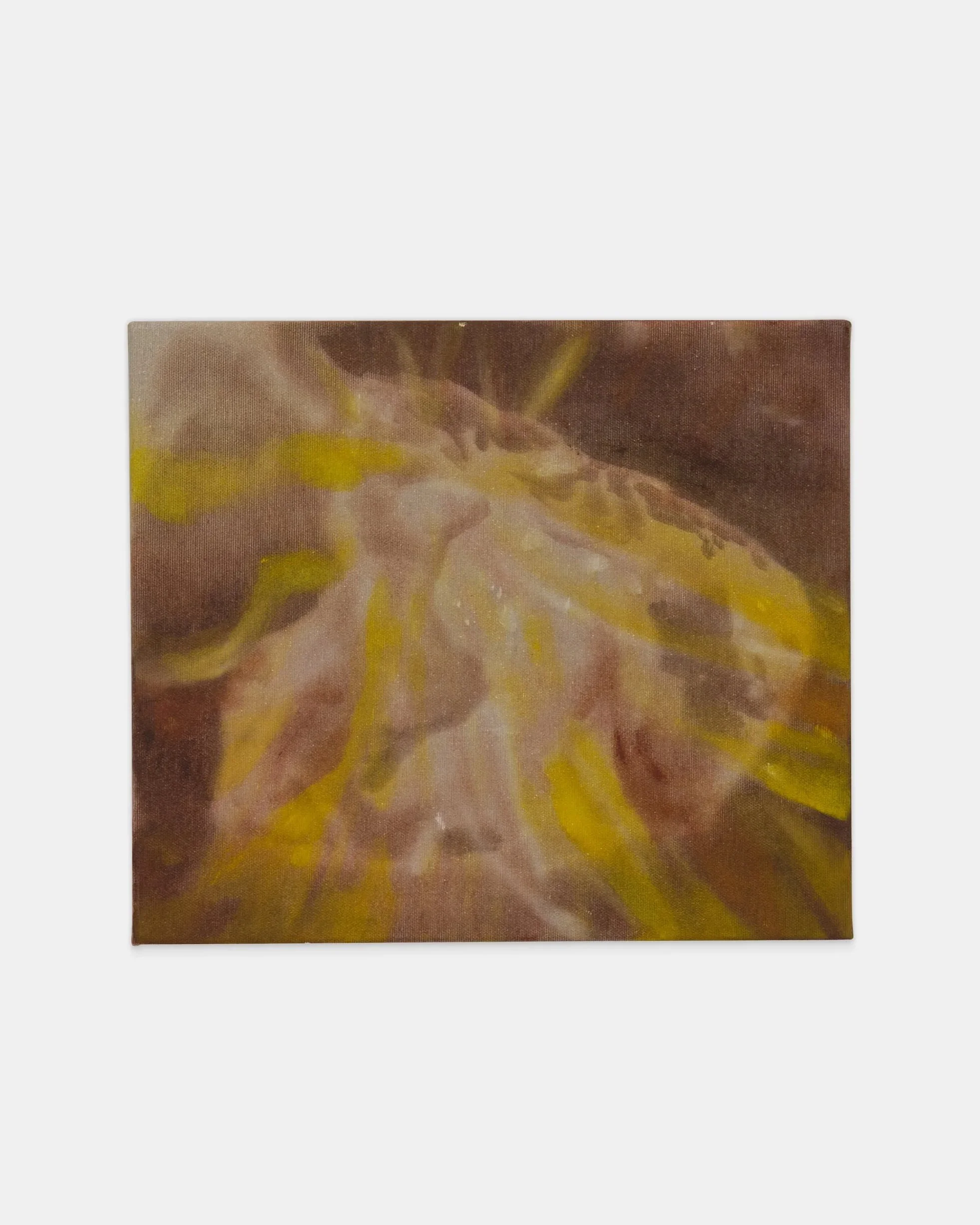   Parade,  2026 oil on canvas 30cm x 35cm / 12in x 14in 