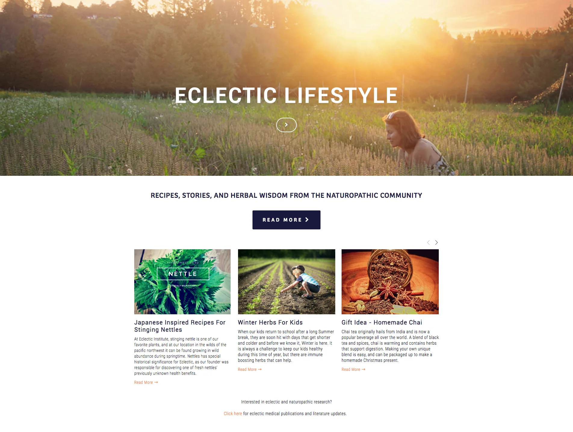EclecticWeb_3.jpg