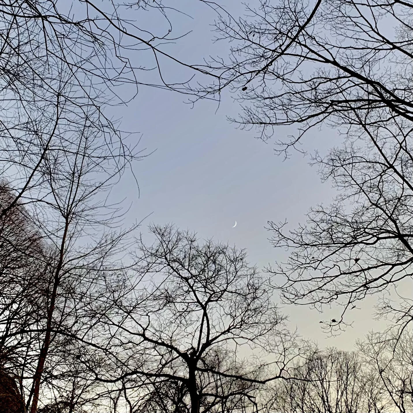 Winter Solstice Meditation